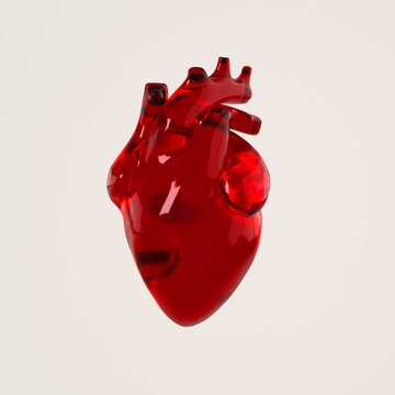Realistic human heart organ with arteries and aorta 3d rendering. Happy Valentines Day greeting card. Romantic background. Red transparent glass heart
