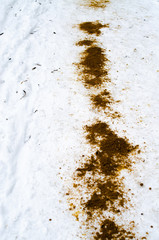 The winter sidewalk is sprinkled with sand. Ice, injury. Sand in the snow. Sand in the macro on the snow. Safety.