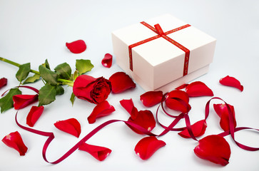Beautiful rose flower in garden. Rose flower background. Roses flower texture. Lovely red rose and...