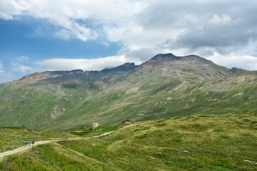 Fototapeta premium Green meadows in the Caucasus Mountains, grazing cows and in the background The Caucasus Main Range, Svaneti, Georgia