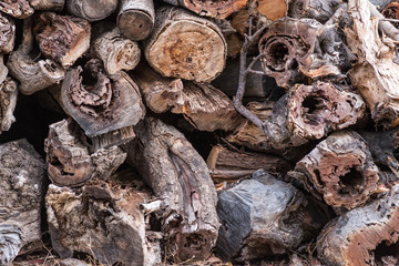 Timber cutting. Firewood background. Preparation of firewood.