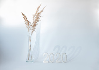Fototapeta premium Figures 2020 on white background with shadow and dried flower in vase