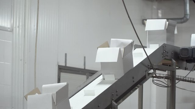 Empty white boxes go on conveyor belt