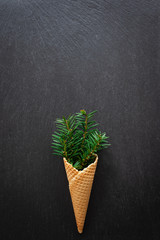 Ice Cream Cone with Christmas fir branch
