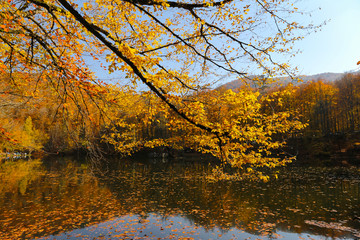 Buyuk Lake in Yedigoller National Park, Bolu, Turkey