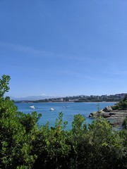 Ocean View Overlook With Boats and City Background