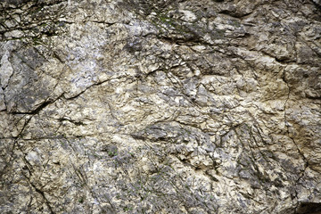 Rocky mountain texture
