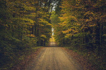 Rural Road in Fall
