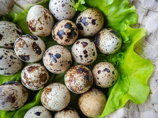 Fototapeta premium Quail eggs and lettuce leaves in a towel nest. Easter concept. Top view, focus in the middle 