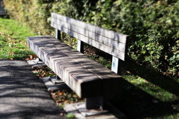 Fototapeta premium empty park bench