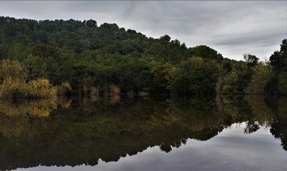 hidden lake in forest