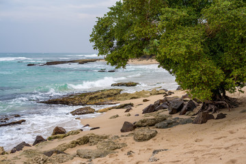 Sandy and rocky beach in Sri Lanka