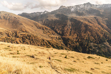 Mountain scenery Dolomites with grass and trees