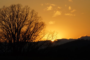 Sunset Over the Blue Ridge Mountain in Autumn with Leafless Trees