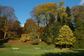 autumn in the park