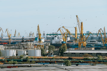 Fototapeta premium cranes in port