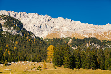 Leuchtende Felswand im Hochgebirge mit Bergwald und tiefblauem Himmel