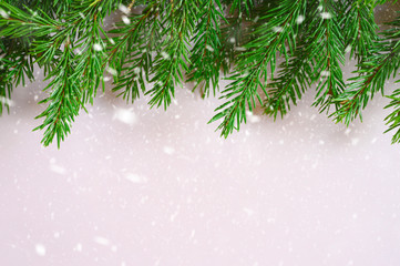 christmas tree branches frame on a white background. falling snow. space for text