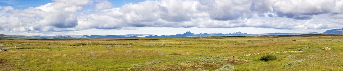 Fototapeta premium Panoramic view about wide southern Iceland veld in summer