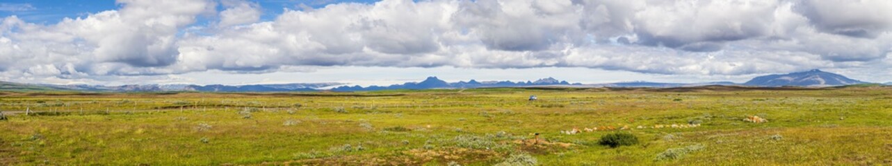 Panoramic view about wide southern Iceland veld in summer