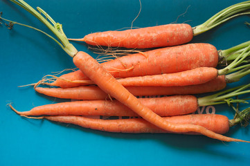 A few carrots with green stems on a blue background