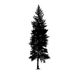 Silhouette of pine tree. Hand made.