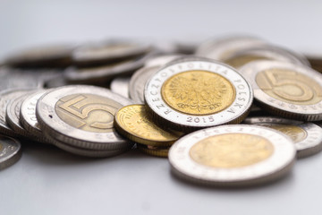 Polish zloty coins. Macro photo. Polski zloty