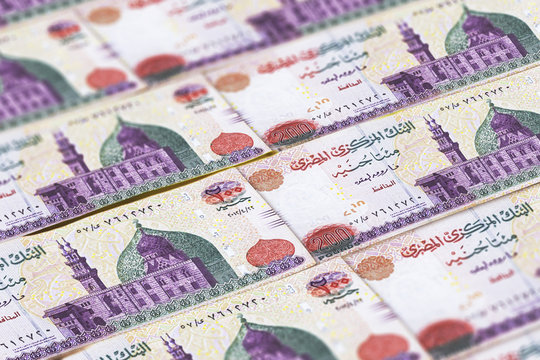 EGP. Money of Egypt. Egyptian pounds background. Macro photo