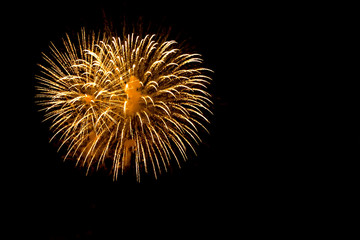 Fototapeta premium Brilliant Fireworks Display in the Night Sky