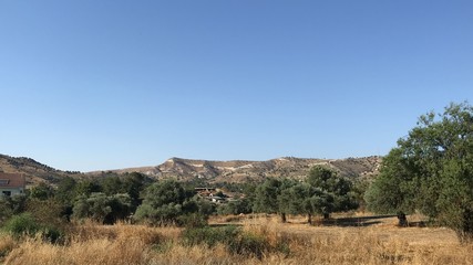 landscape with trees and blue sky on the hill in cyprus village 
