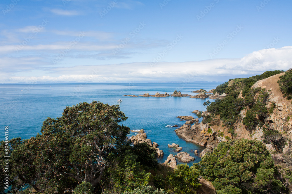 Wall mural Landscape image of the Hauraki Gulf from Tiritiri Matangi Island. Beautiful blue pacific ocean, rocky shore, blue sky white clouds. Paradise. North Shore, Auckland. Craggy cliffs, pohutukawa trees.