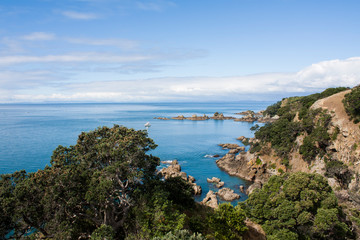 Naklejka premium Landscape image of the Hauraki Gulf from Tiritiri Matangi Island. Beautiful blue pacific ocean, rocky shore, blue sky white clouds. Paradise. North Shore, Auckland. Craggy cliffs, pohutukawa trees.