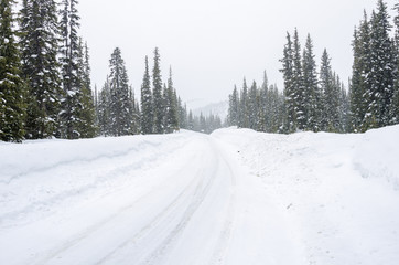 Deserted mountain road through a snowy forest during a heavy snowfall. Dangerous driving conditions.
