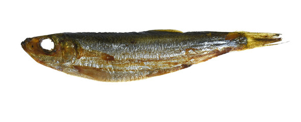 Smoked fish isolated on white background