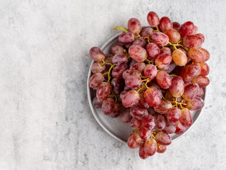 A bunch (cluster) of ripe red (purple) grapes with the drops of water on it on gray ceramic plate on light gray background. Top view. Layout template. 