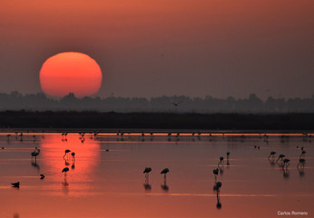 Paisaje