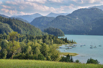 The Alps landscape near the Mondsee lagke.