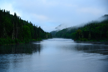 Foggy landscape photography of a lake with evergreen trees at sunrise in Canada