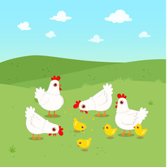 happy cute chicken group in green field
