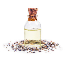 Dried lavender flowers and lavender oil in a glass bottle isolated on a white background.