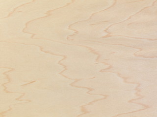 ハードメープル