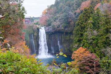 静岡県　音止の滝