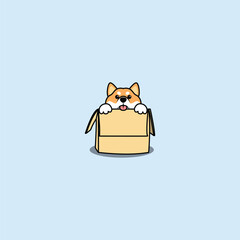 Cute shiba inu dog in the box, vector illustration