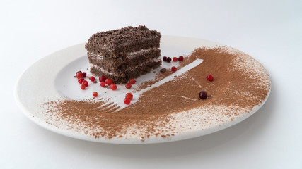 piece of chocolate cake on a plate