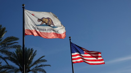 California and US flags flying in blue sky, with palm trees