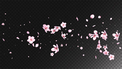 Nice Sakura Blossom Isolated Vector. Spring Flying 3d Petals Wedding Paper. Japanese Blurred Flowers Illustration. Valentine, Mother's Day Feminine Nice Sakura Blossom Isolated on Black