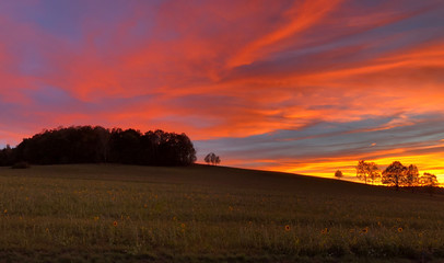Abendhimmel, Sonnenuntergang, Sonnenblumenfeld, Abendrot, Wald, Dämmerung, Sonnenblumen