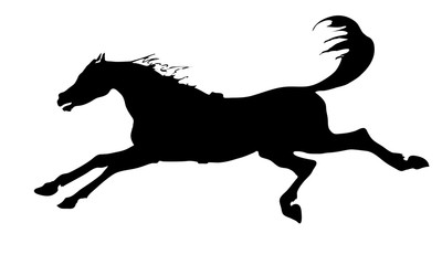 Fototapeta premium isolated graphic black silhouette, the horse gallops across the field