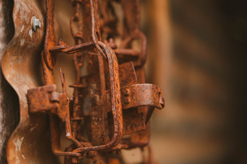 Rusty rabbit trap, farming equipment. Rustic antiques