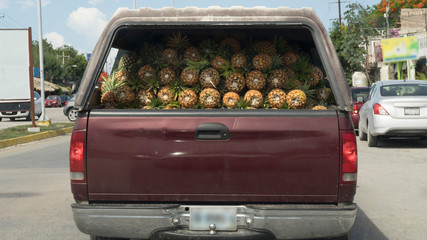 merchant carries load of pineapples to the local market on an old red car